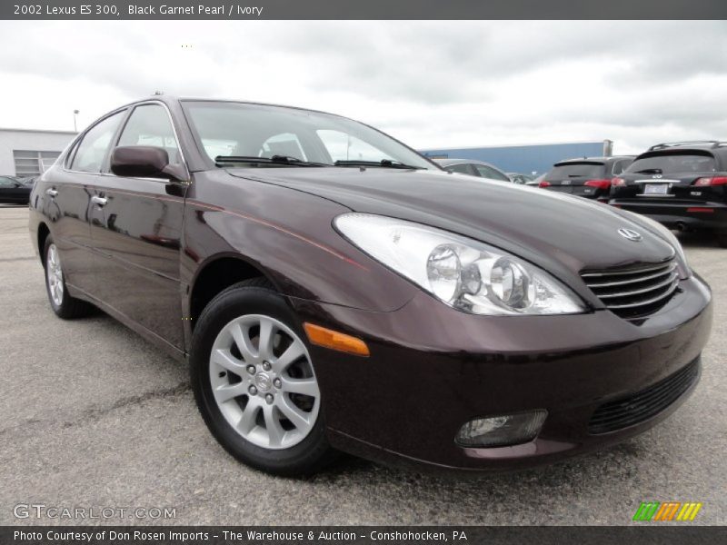 Black Garnet Pearl / Ivory 2002 Lexus ES 300