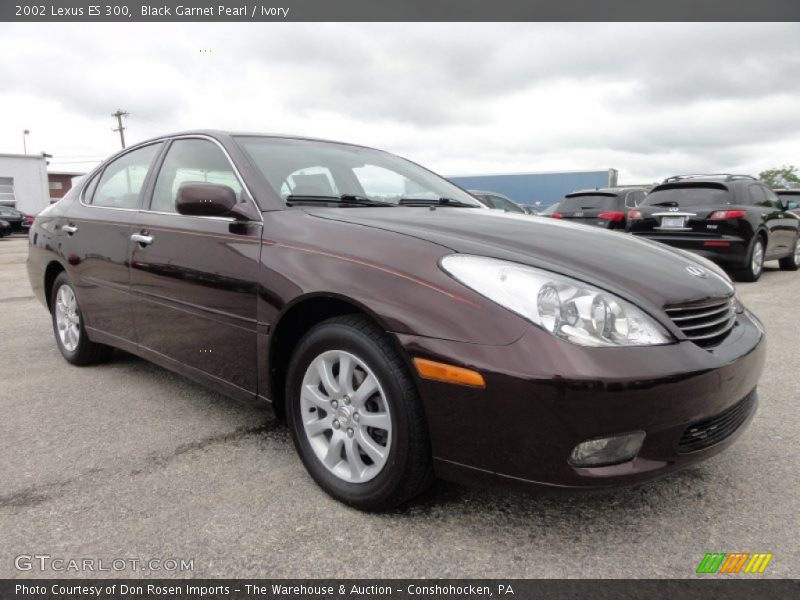 Black Garnet Pearl / Ivory 2002 Lexus ES 300