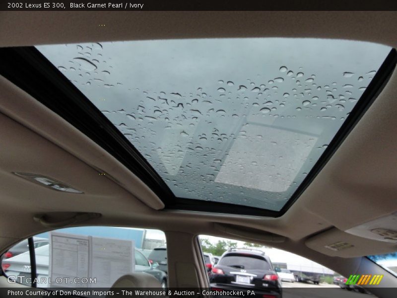 Black Garnet Pearl / Ivory 2002 Lexus ES 300