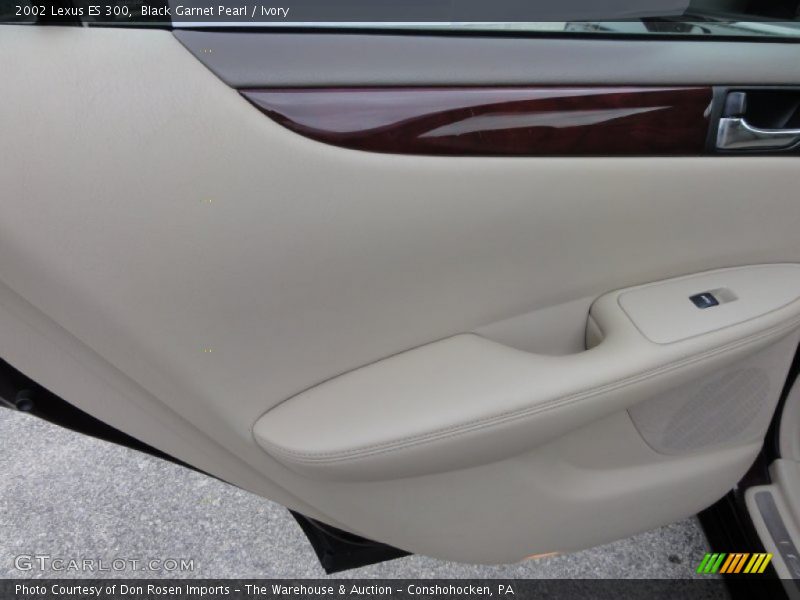 Black Garnet Pearl / Ivory 2002 Lexus ES 300