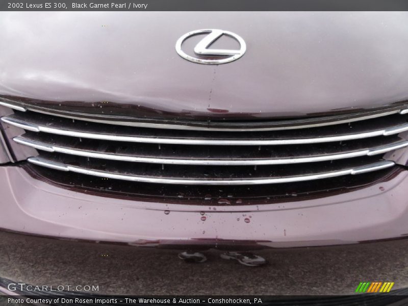 Black Garnet Pearl / Ivory 2002 Lexus ES 300