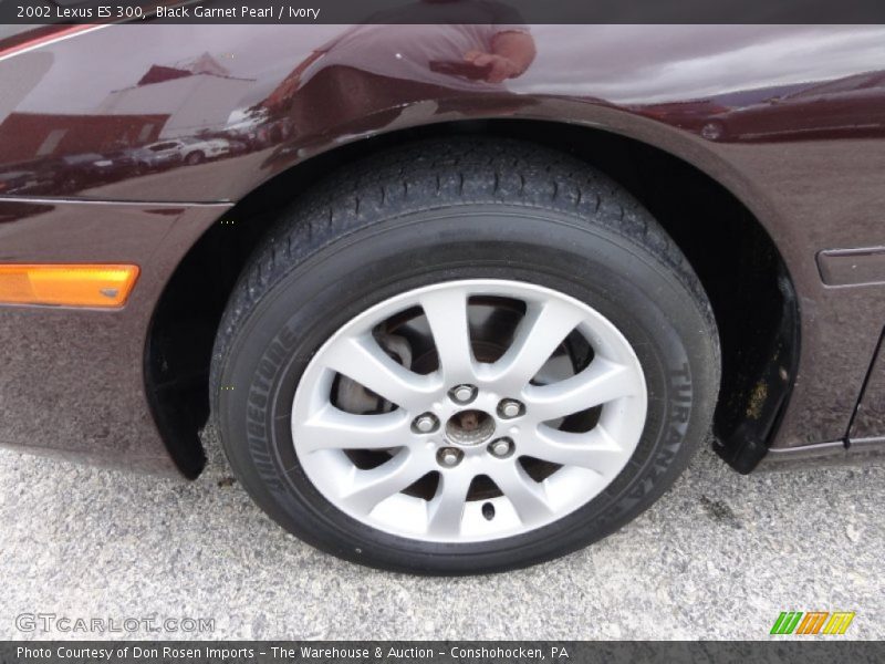 Black Garnet Pearl / Ivory 2002 Lexus ES 300