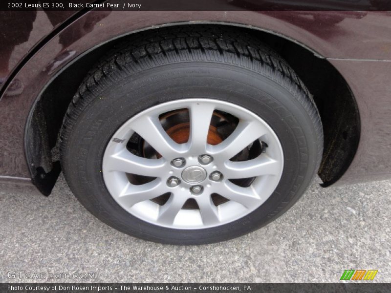 Black Garnet Pearl / Ivory 2002 Lexus ES 300
