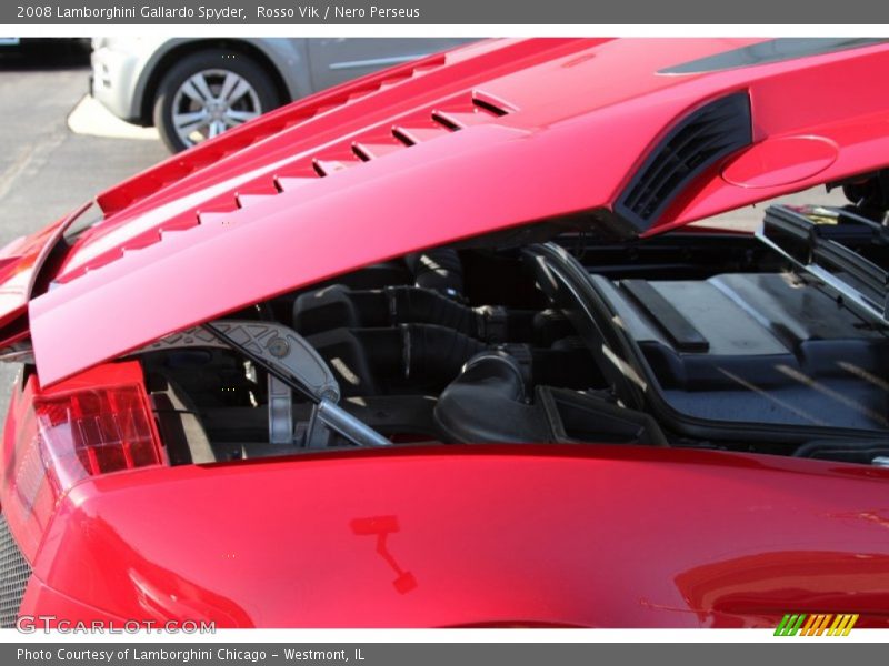 Engine Cover - 2008 Lamborghini Gallardo Spyder