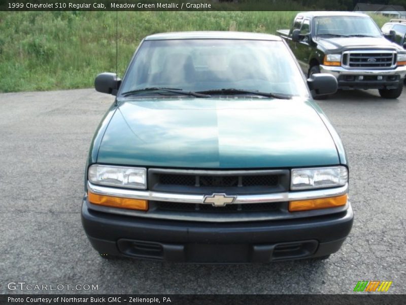 Meadow Green Metallic / Graphite 1999 Chevrolet S10 Regular Cab