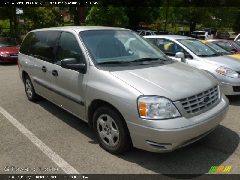 Silver Birch Metallic / Flint Grey 2004 Ford Freestar S