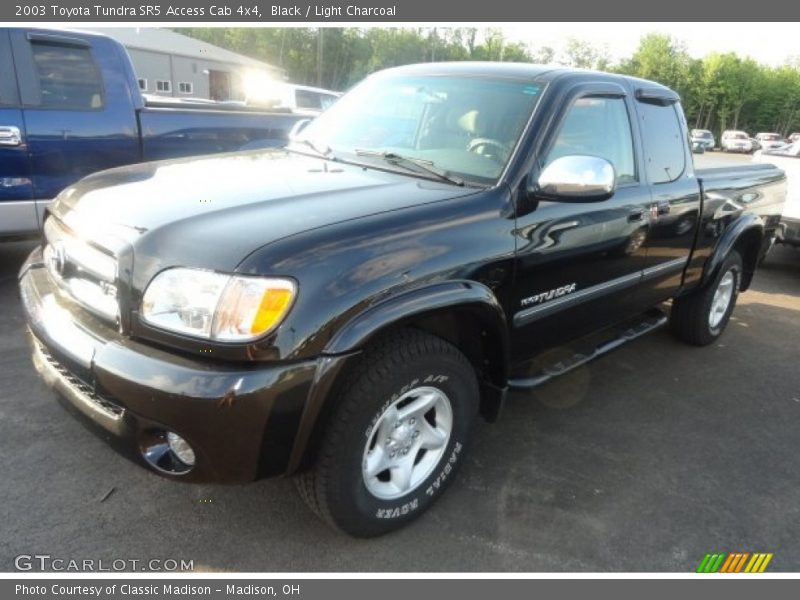 Black / Light Charcoal 2003 Toyota Tundra SR5 Access Cab 4x4