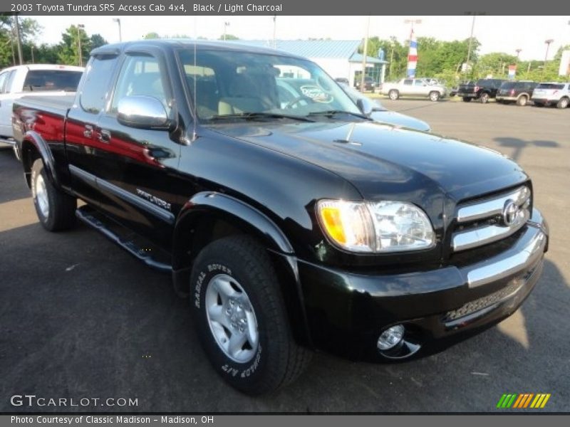 Black / Light Charcoal 2003 Toyota Tundra SR5 Access Cab 4x4