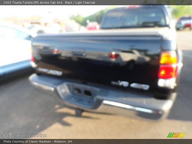 Black / Light Charcoal 2003 Toyota Tundra SR5 Access Cab 4x4