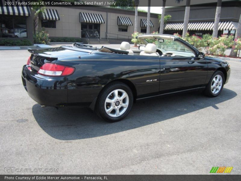 Black Sand Pearl / Ivory 2001 Toyota Solara SE V6 Convertible