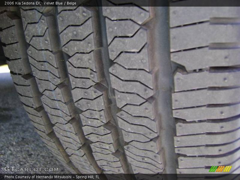 Velvet Blue / Beige 2006 Kia Sedona EX