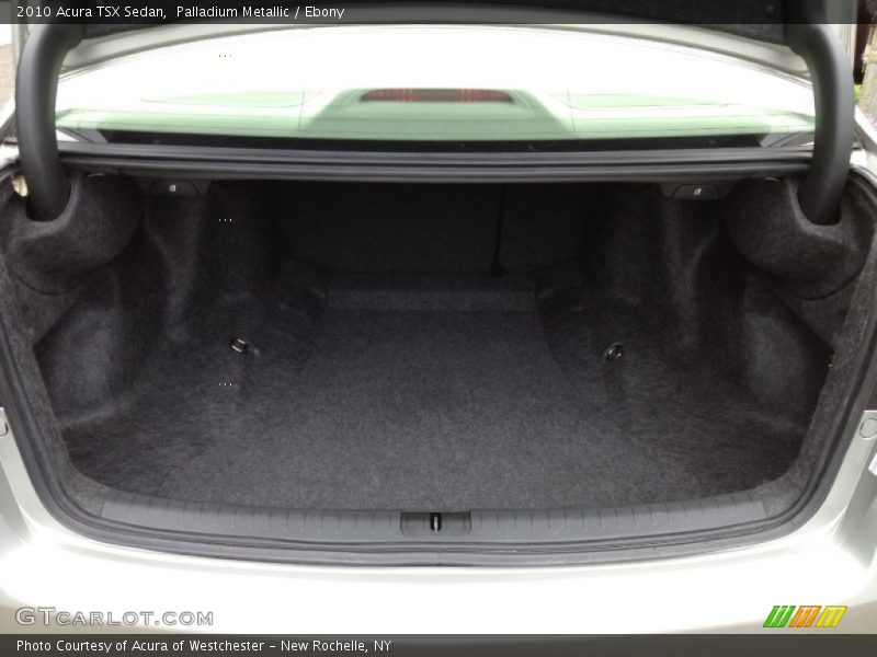 Palladium Metallic / Ebony 2010 Acura TSX Sedan