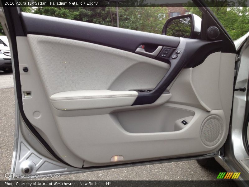 Palladium Metallic / Ebony 2010 Acura TSX Sedan
