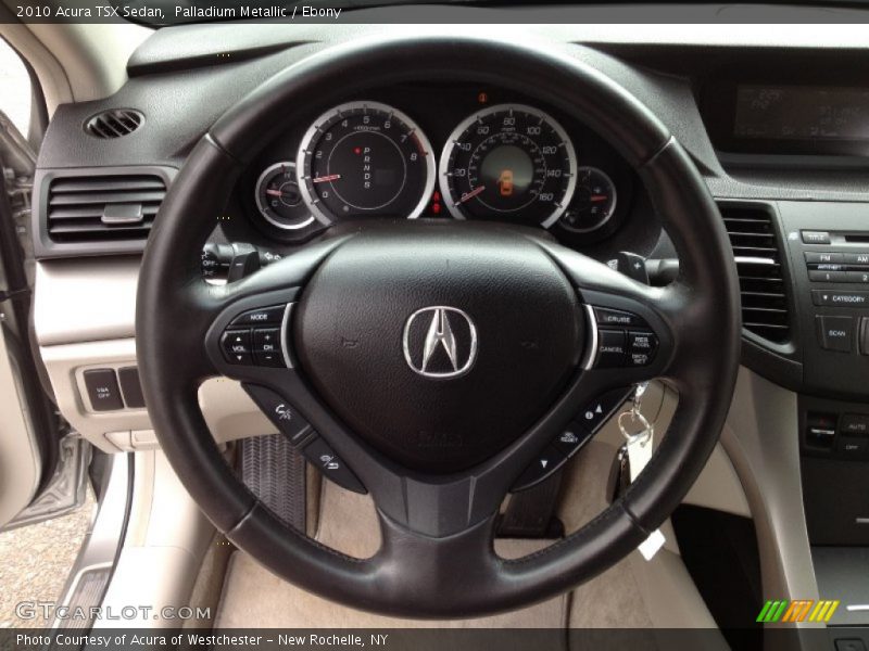 Palladium Metallic / Ebony 2010 Acura TSX Sedan