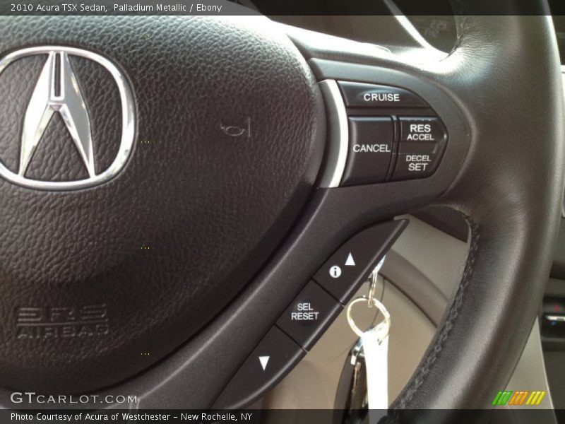 Palladium Metallic / Ebony 2010 Acura TSX Sedan