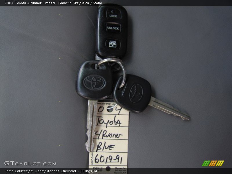 Galactic Gray Mica / Stone 2004 Toyota 4Runner Limited