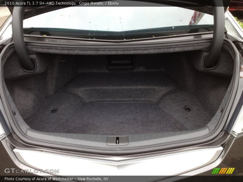 Grigio Metallic / Ebony 2010 Acura TL 3.7 SH-AWD Technology