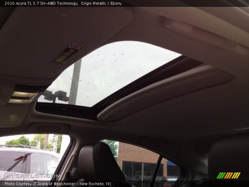 Grigio Metallic / Ebony 2010 Acura TL 3.7 SH-AWD Technology