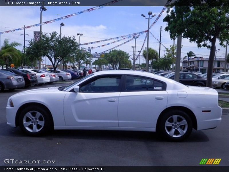Bright White / Black 2011 Dodge Charger SE