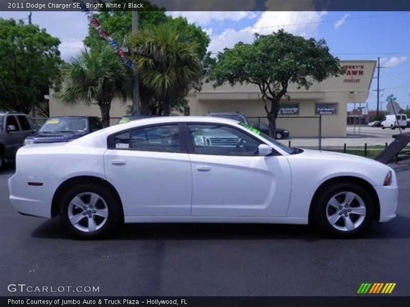 Bright White / Black 2011 Dodge Charger SE