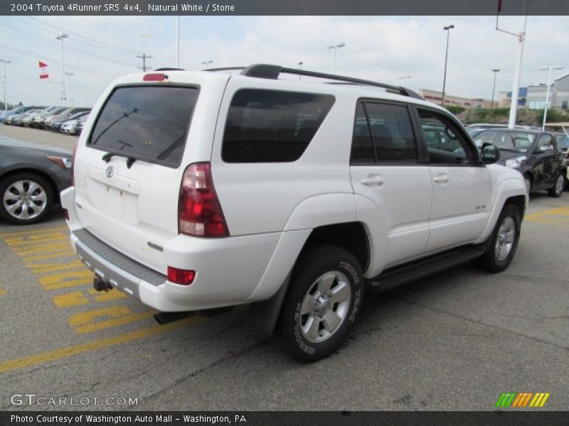 Natural White / Stone 2004 Toyota 4Runner SR5 4x4