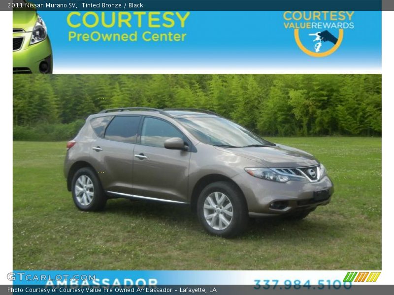 Tinted Bronze / Black 2011 Nissan Murano SV