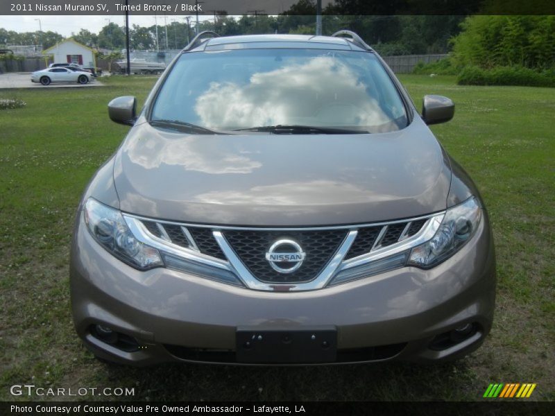 Tinted Bronze / Black 2011 Nissan Murano SV