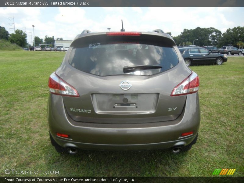 Tinted Bronze / Black 2011 Nissan Murano SV