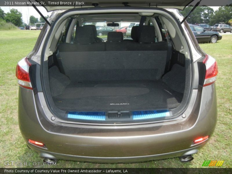 Tinted Bronze / Black 2011 Nissan Murano SV