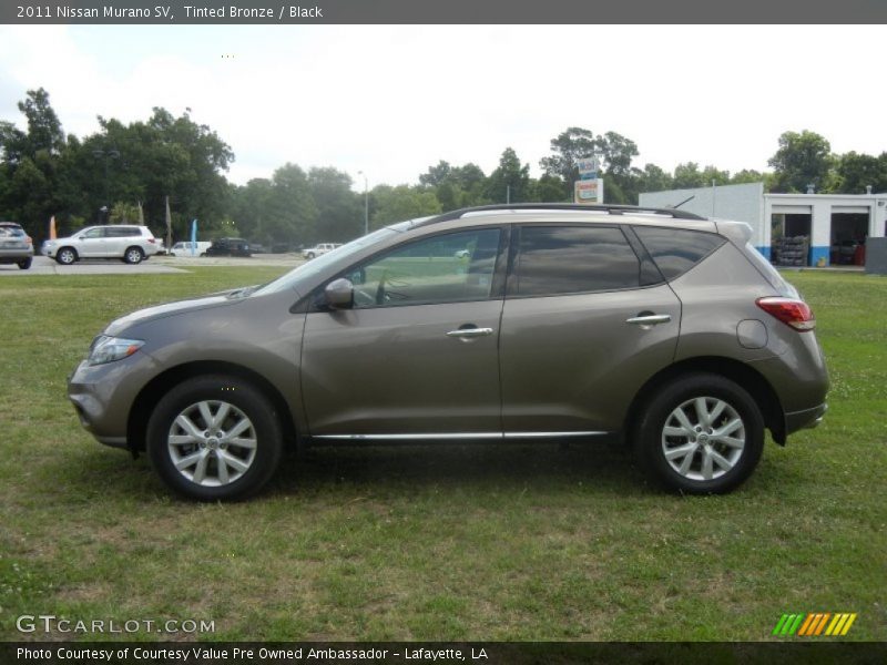 Tinted Bronze / Black 2011 Nissan Murano SV