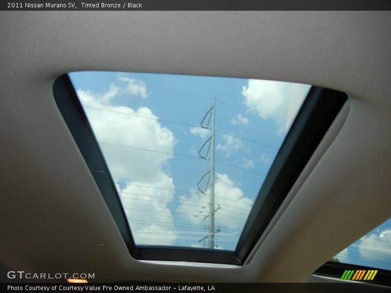 Tinted Bronze / Black 2011 Nissan Murano SV