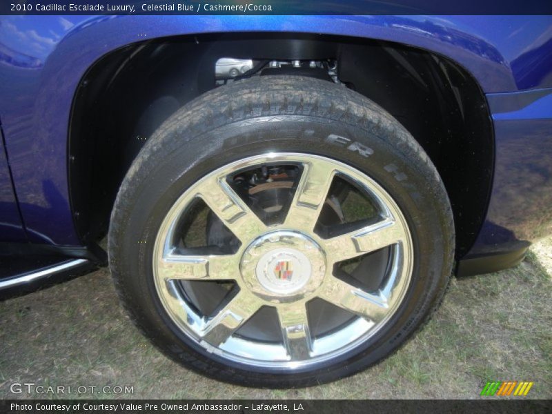 Celestial Blue / Cashmere/Cocoa 2010 Cadillac Escalade Luxury