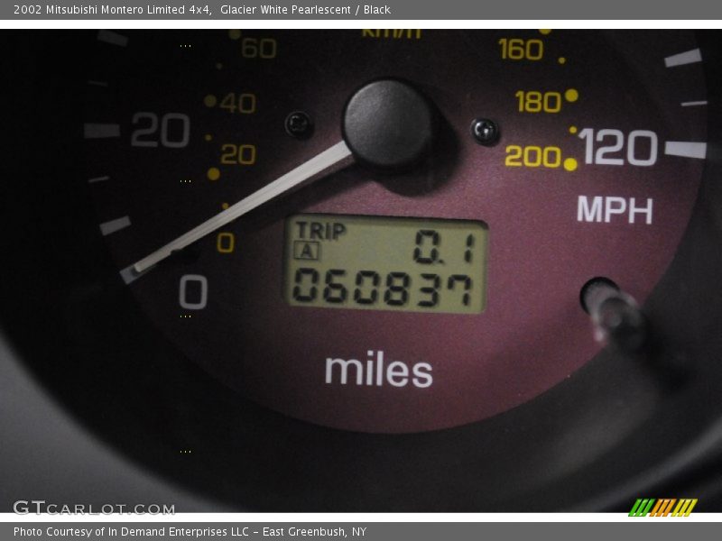 Glacier White Pearlescent / Black 2002 Mitsubishi Montero Limited 4x4