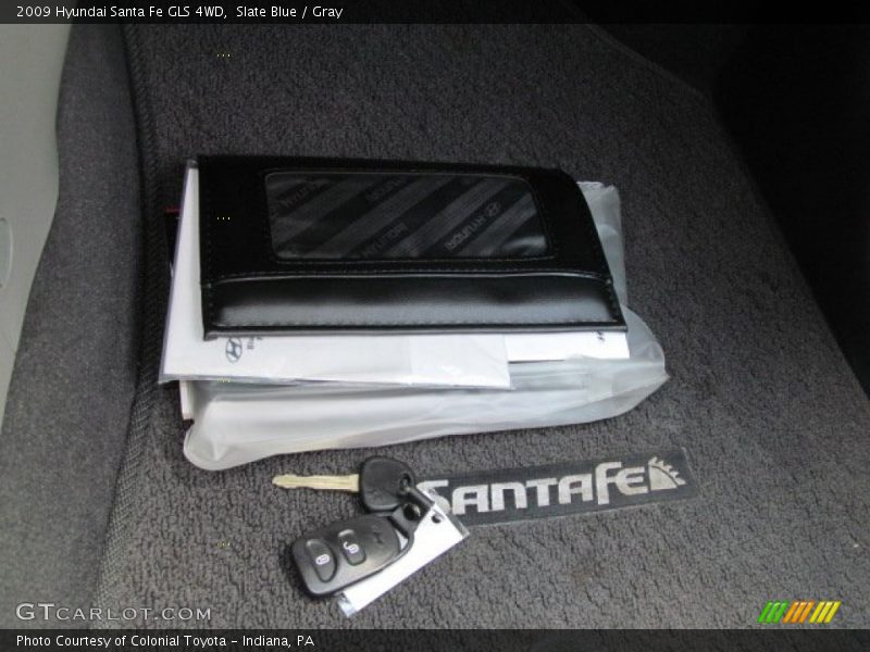 Slate Blue / Gray 2009 Hyundai Santa Fe GLS 4WD