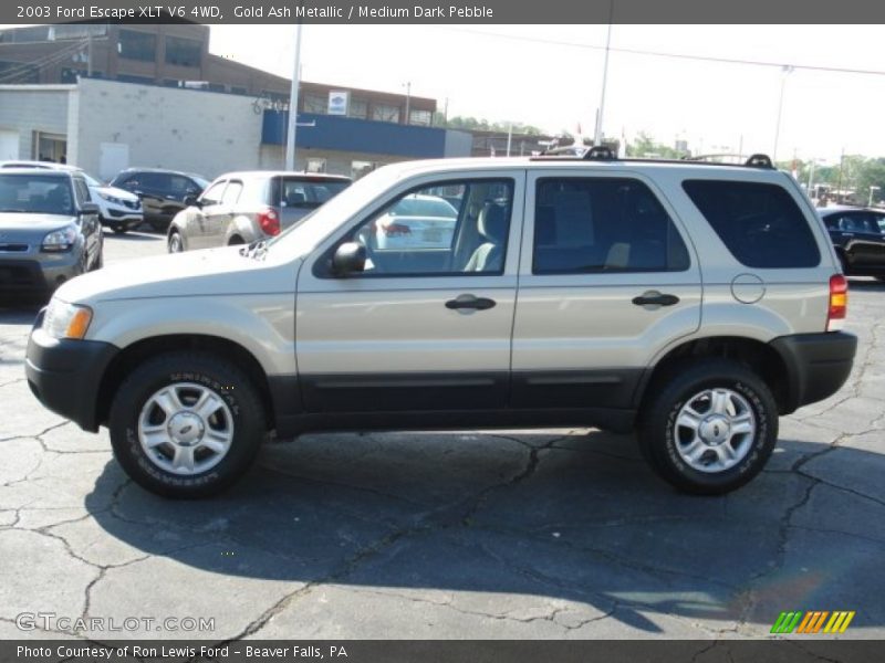 Gold Ash Metallic / Medium Dark Pebble 2003 Ford Escape XLT V6 4WD