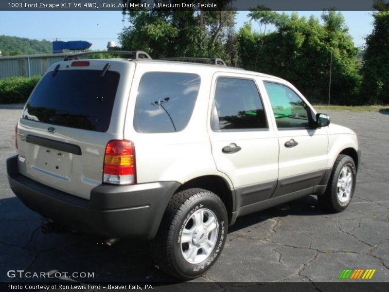 Gold Ash Metallic / Medium Dark Pebble 2003 Ford Escape XLT V6 4WD