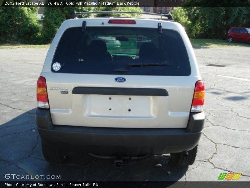 Gold Ash Metallic / Medium Dark Pebble 2003 Ford Escape XLT V6 4WD