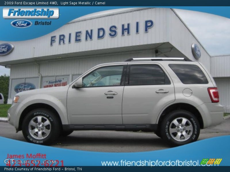 Light Sage Metallic / Camel 2009 Ford Escape Limited 4WD