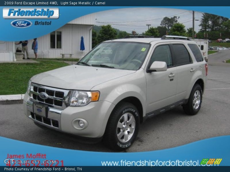Light Sage Metallic / Camel 2009 Ford Escape Limited 4WD