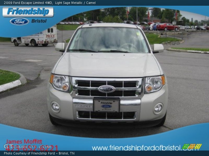 Light Sage Metallic / Camel 2009 Ford Escape Limited 4WD