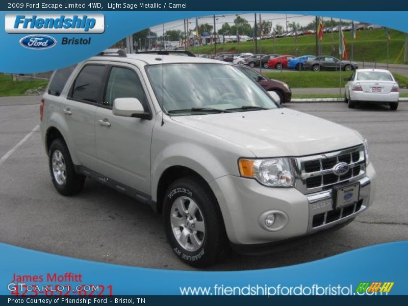Light Sage Metallic / Camel 2009 Ford Escape Limited 4WD