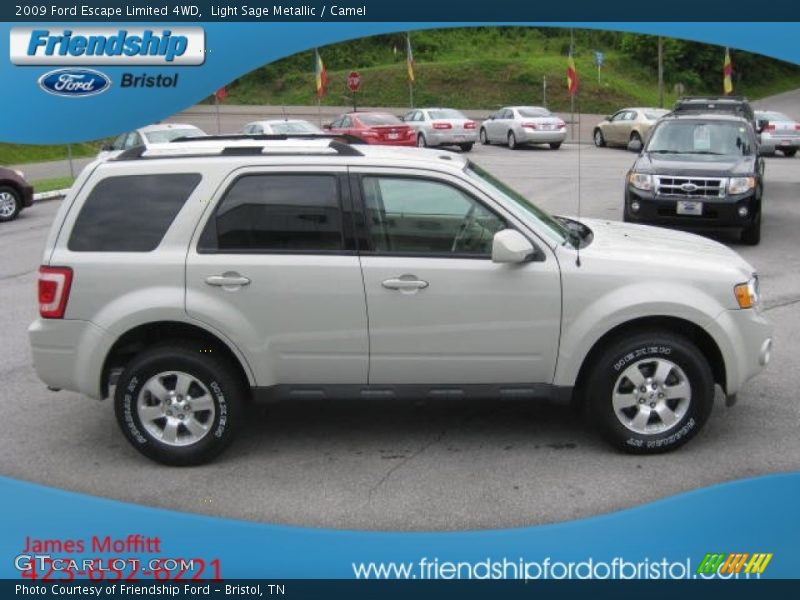 Light Sage Metallic / Camel 2009 Ford Escape Limited 4WD