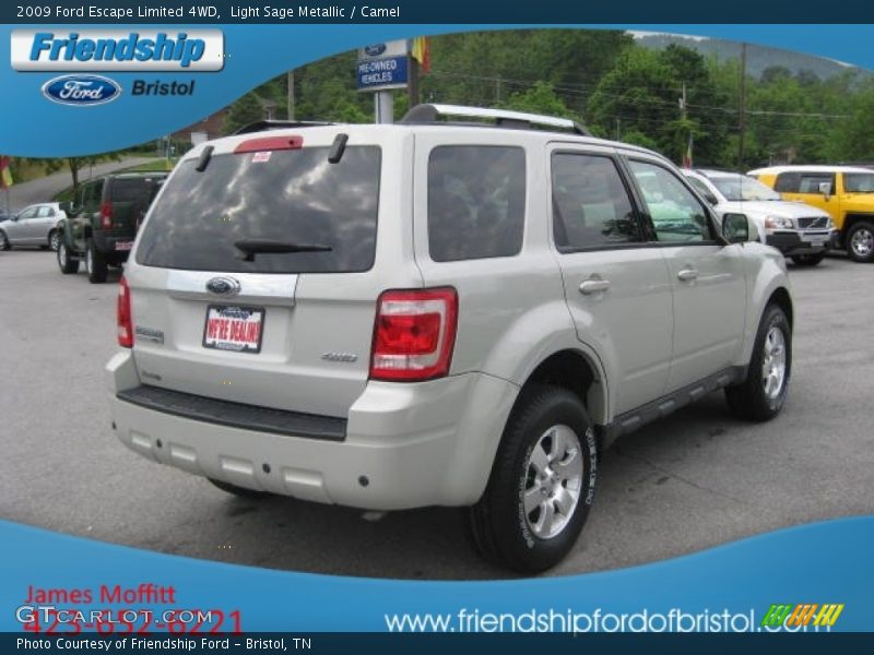 Light Sage Metallic / Camel 2009 Ford Escape Limited 4WD