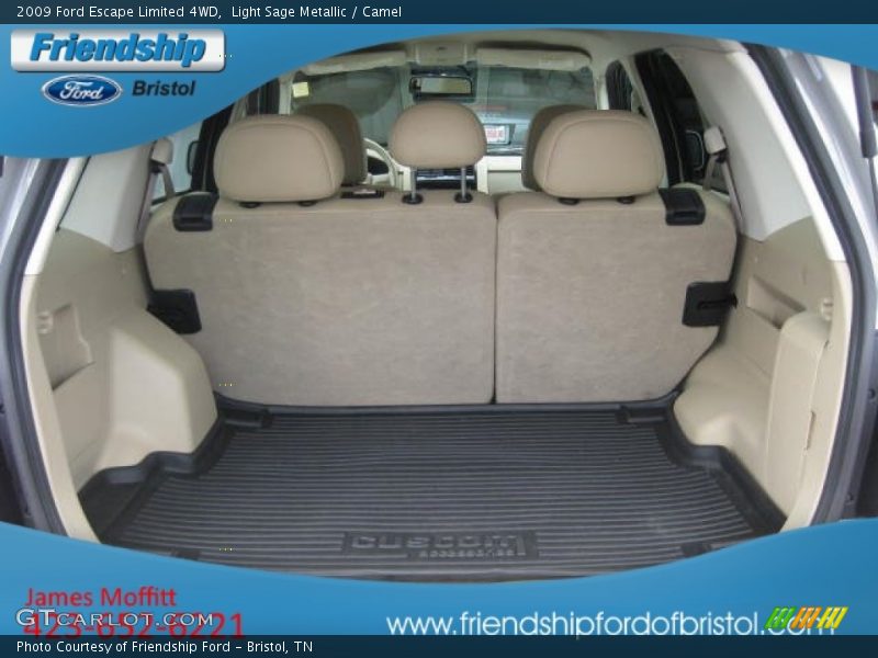 Light Sage Metallic / Camel 2009 Ford Escape Limited 4WD