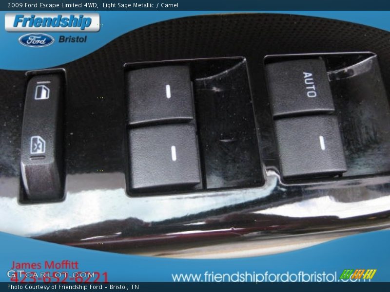 Light Sage Metallic / Camel 2009 Ford Escape Limited 4WD