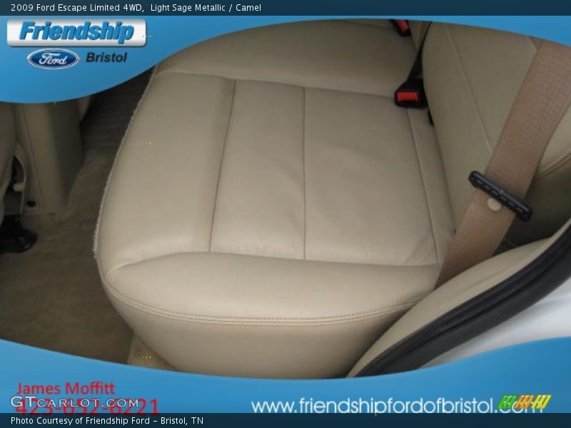 Light Sage Metallic / Camel 2009 Ford Escape Limited 4WD