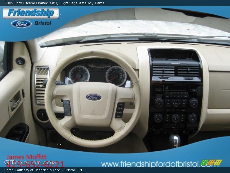 Light Sage Metallic / Camel 2009 Ford Escape Limited 4WD