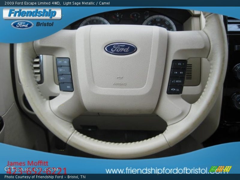 Light Sage Metallic / Camel 2009 Ford Escape Limited 4WD