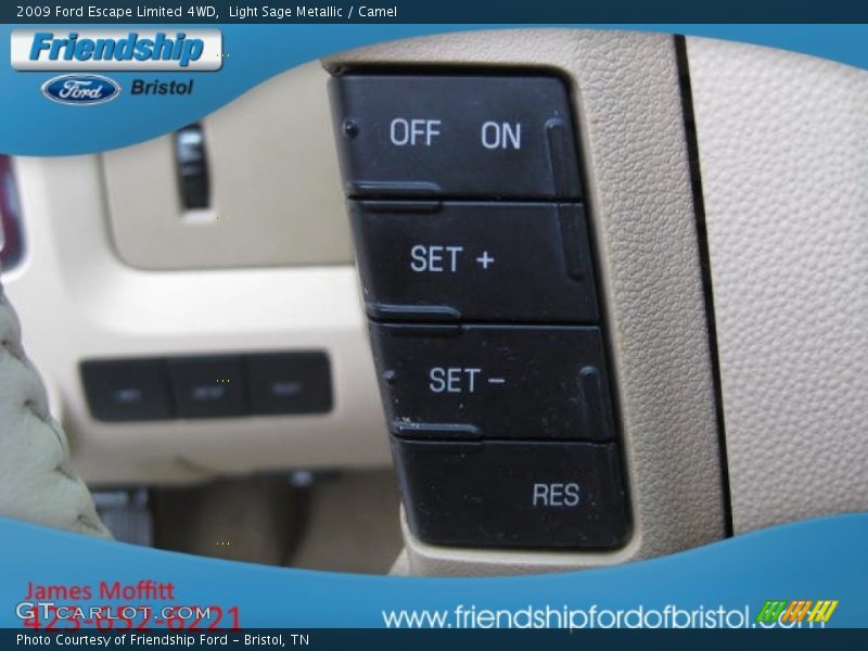 Light Sage Metallic / Camel 2009 Ford Escape Limited 4WD