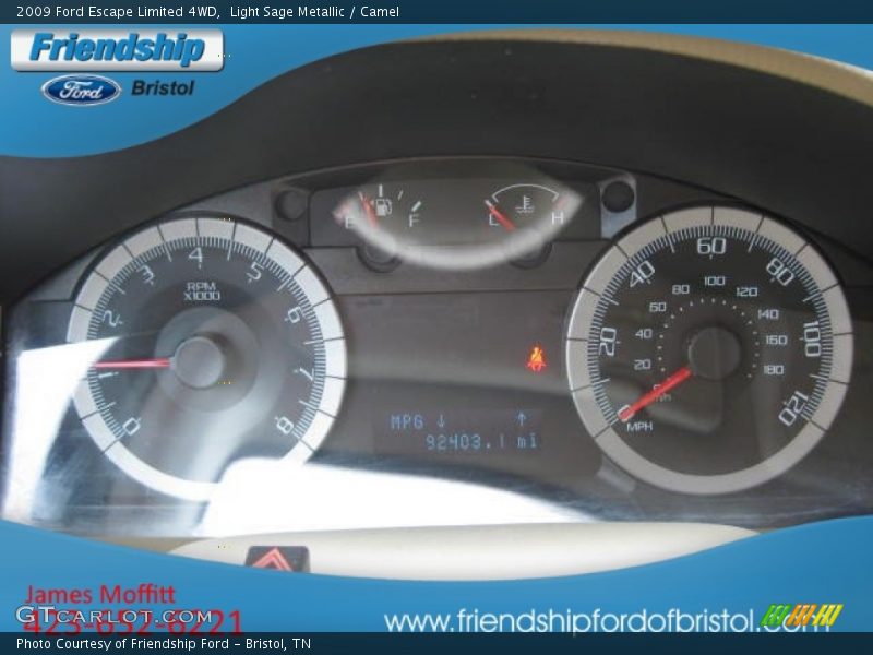 Light Sage Metallic / Camel 2009 Ford Escape Limited 4WD